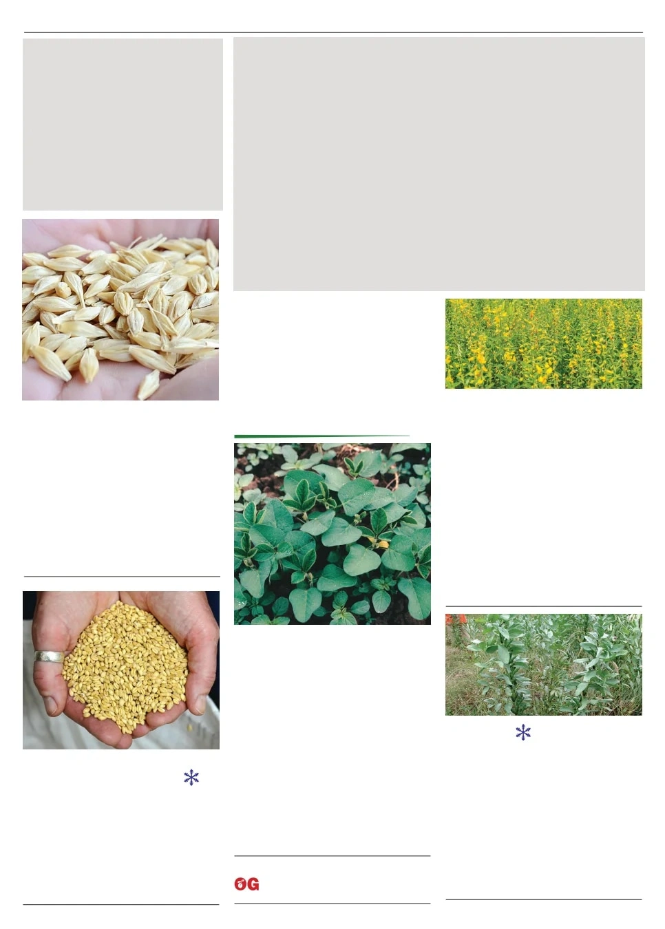 Territorial Seed flyer page 103