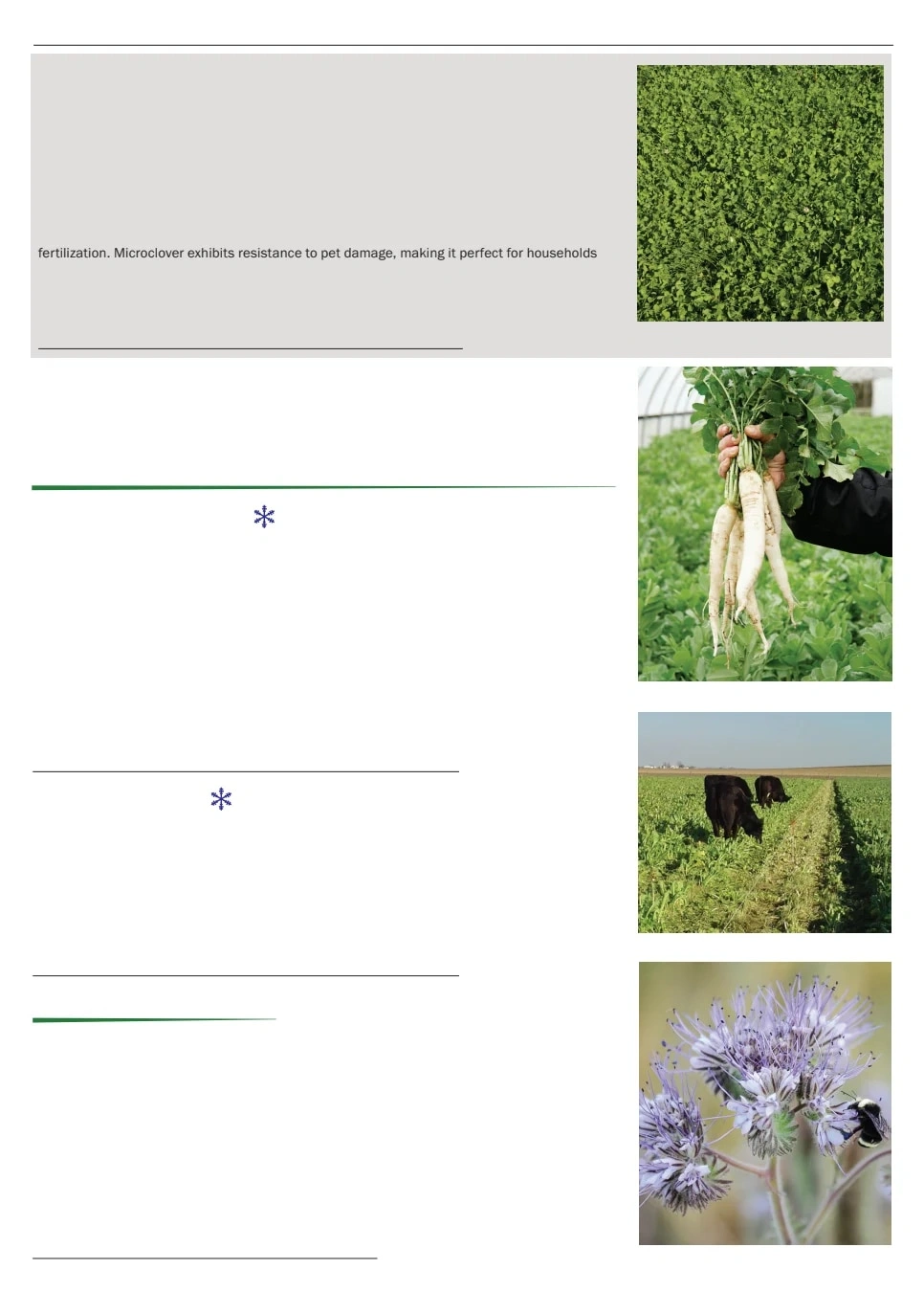 Territorial Seed flyer page 105