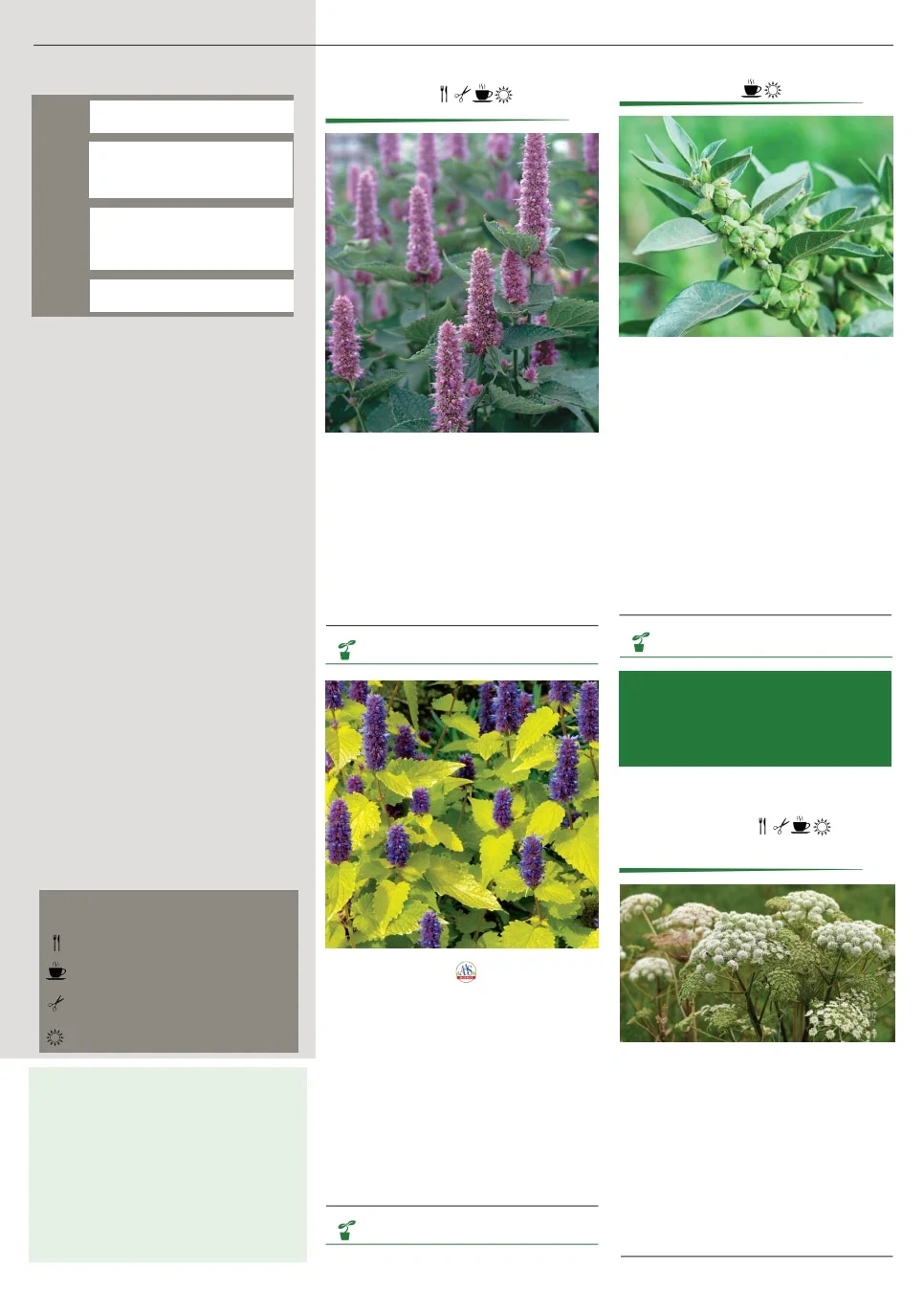 Territorial Seed flyer page 107