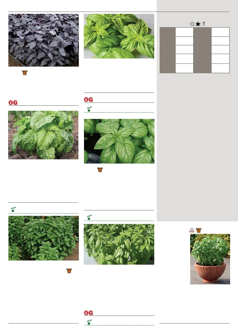 Territorial Seed flyer page 108