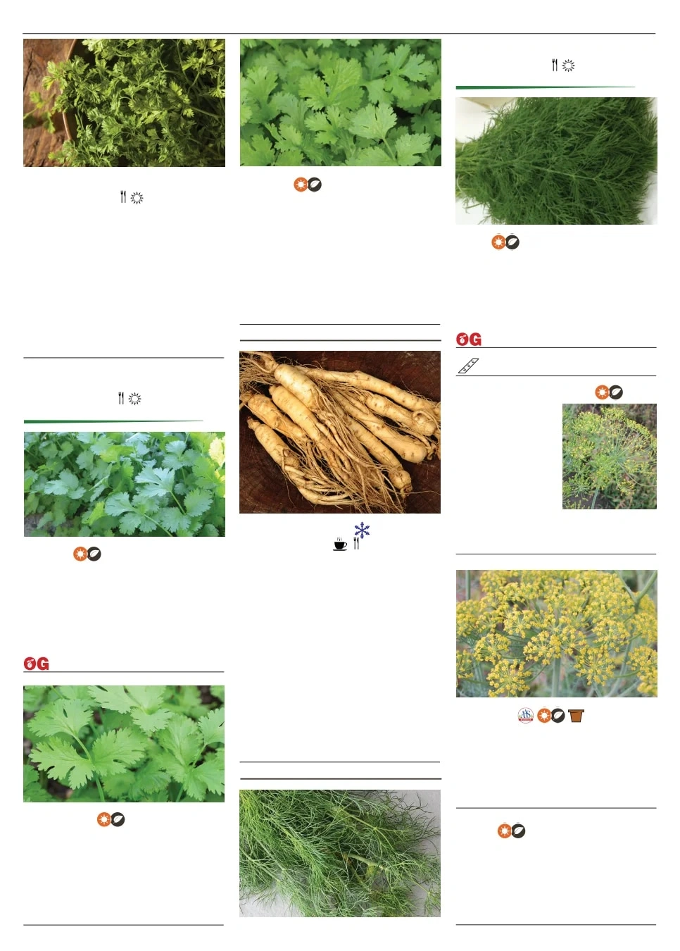 Territorial Seed flyer page 110