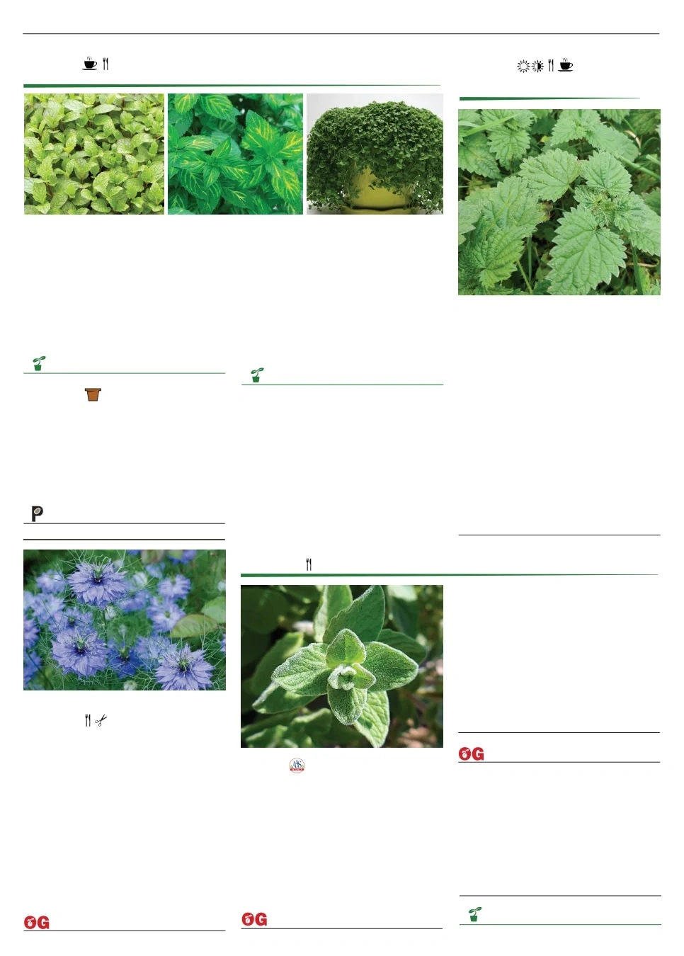 Territorial Seed flyer page 112