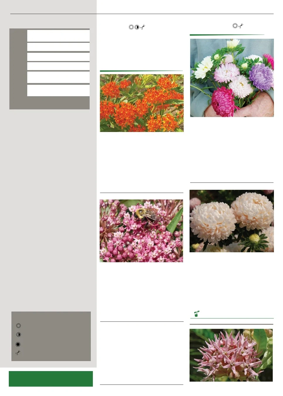 Territorial Seed flyer page 115