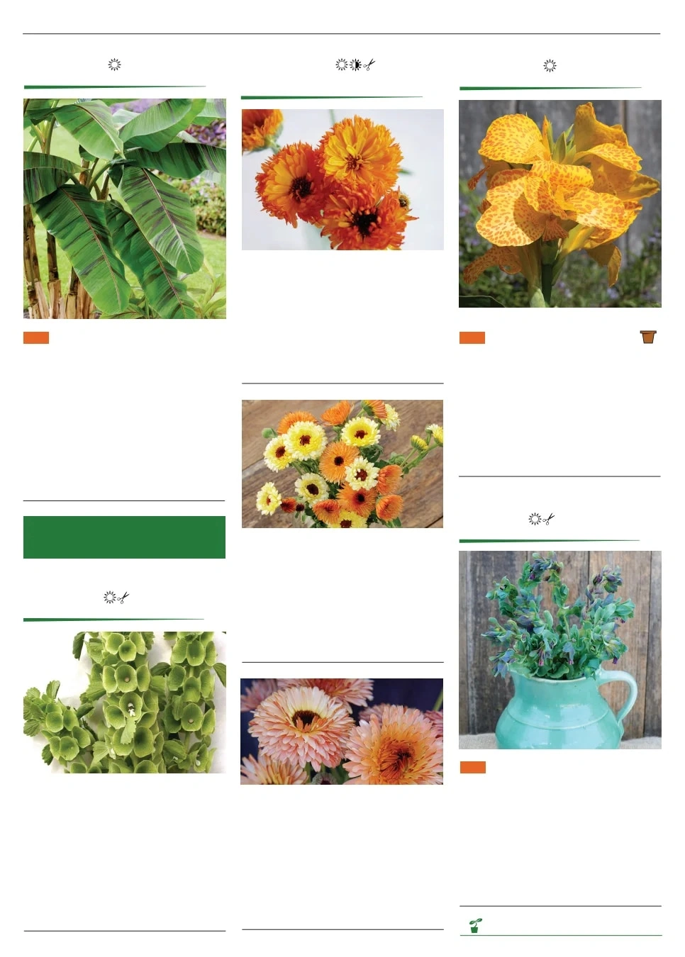 Territorial Seed flyer page 116