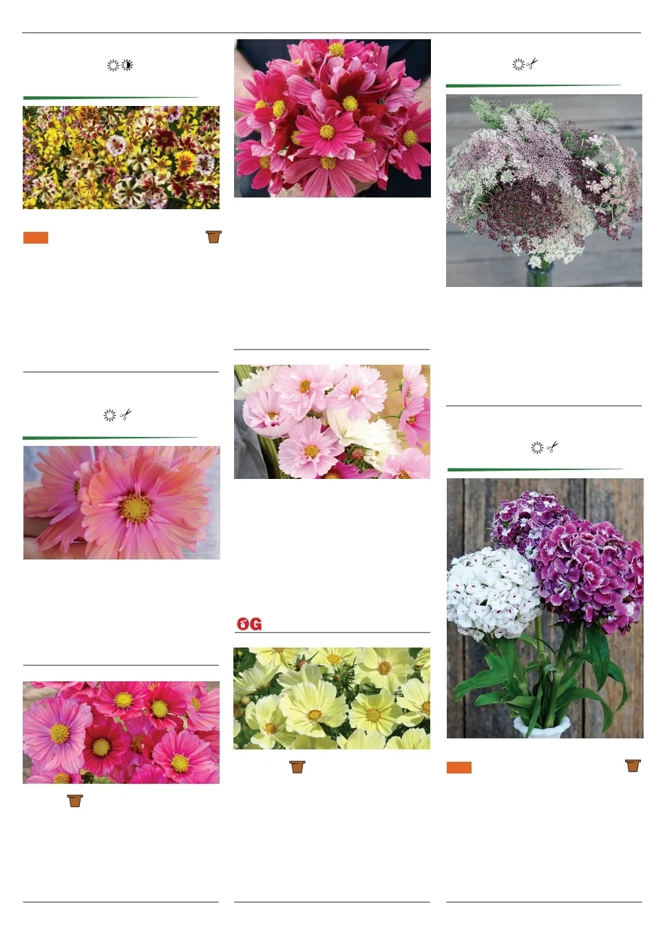 Territorial Seed flyer page 118