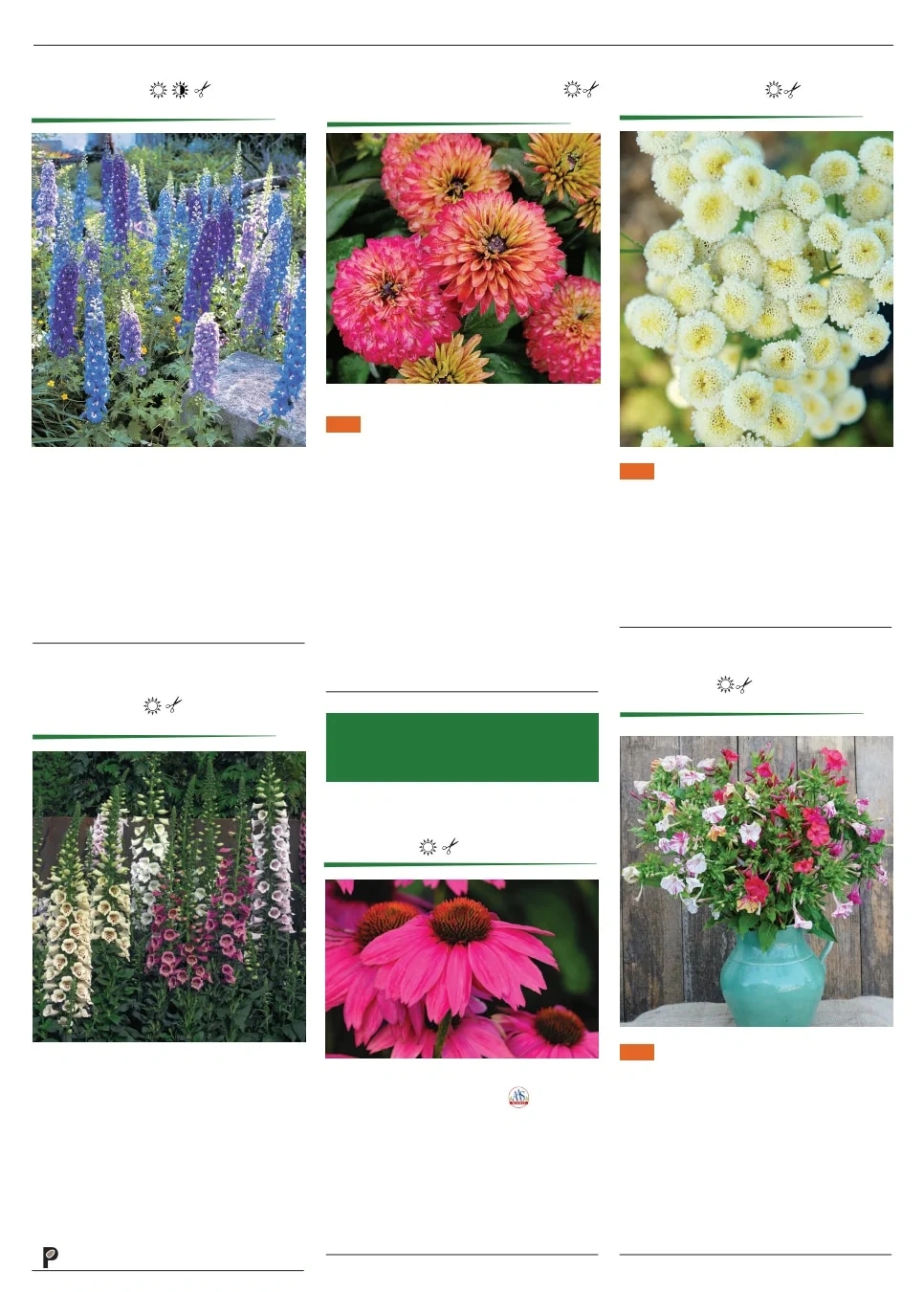 Territorial Seed flyer page 119