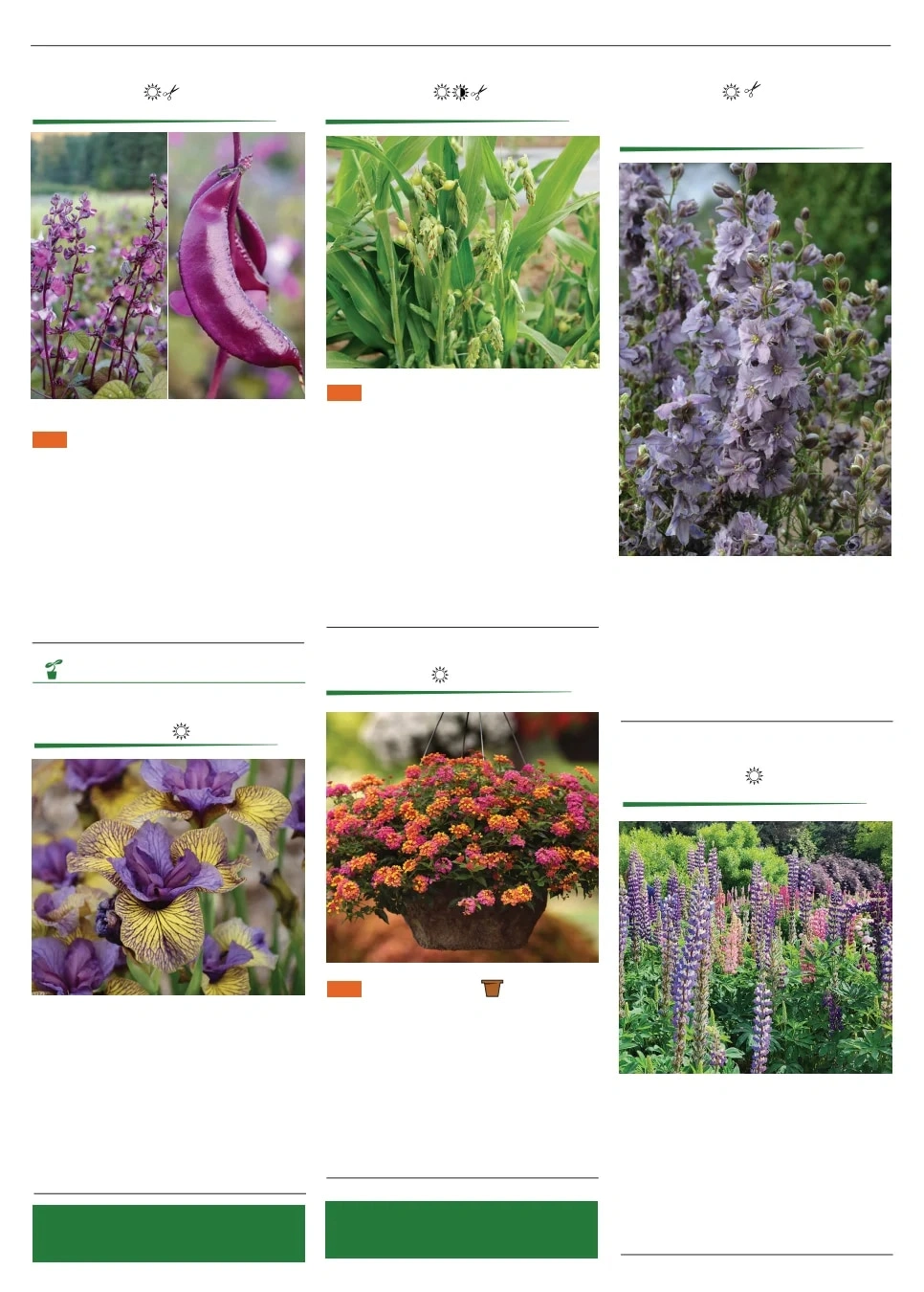Territorial Seed flyer page 120