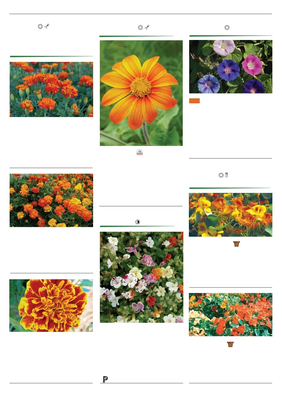 Territorial Seed flyer page 122