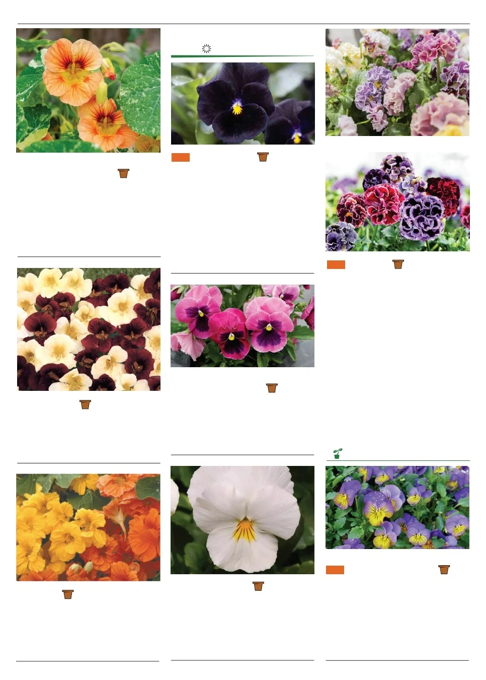 Territorial Seed flyer page 123