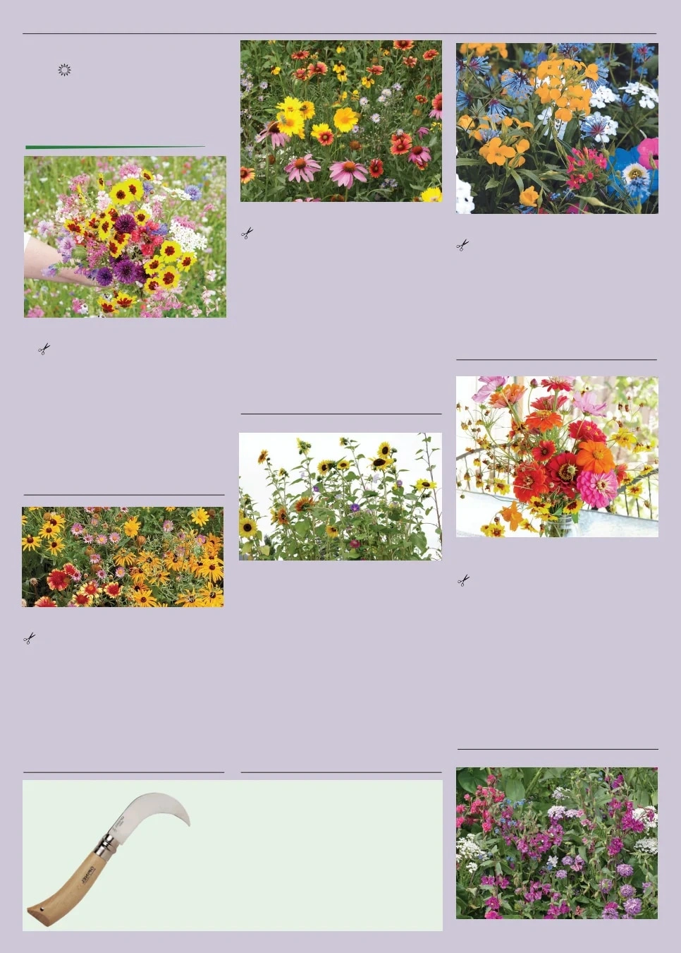 Territorial Seed flyer page 126