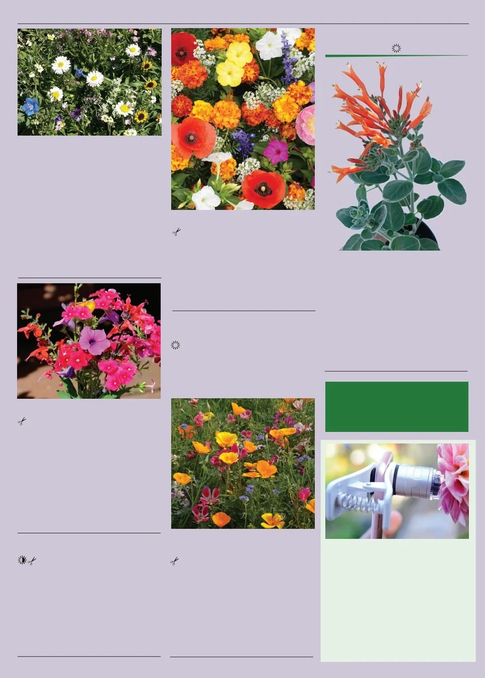 Territorial Seed flyer page 127