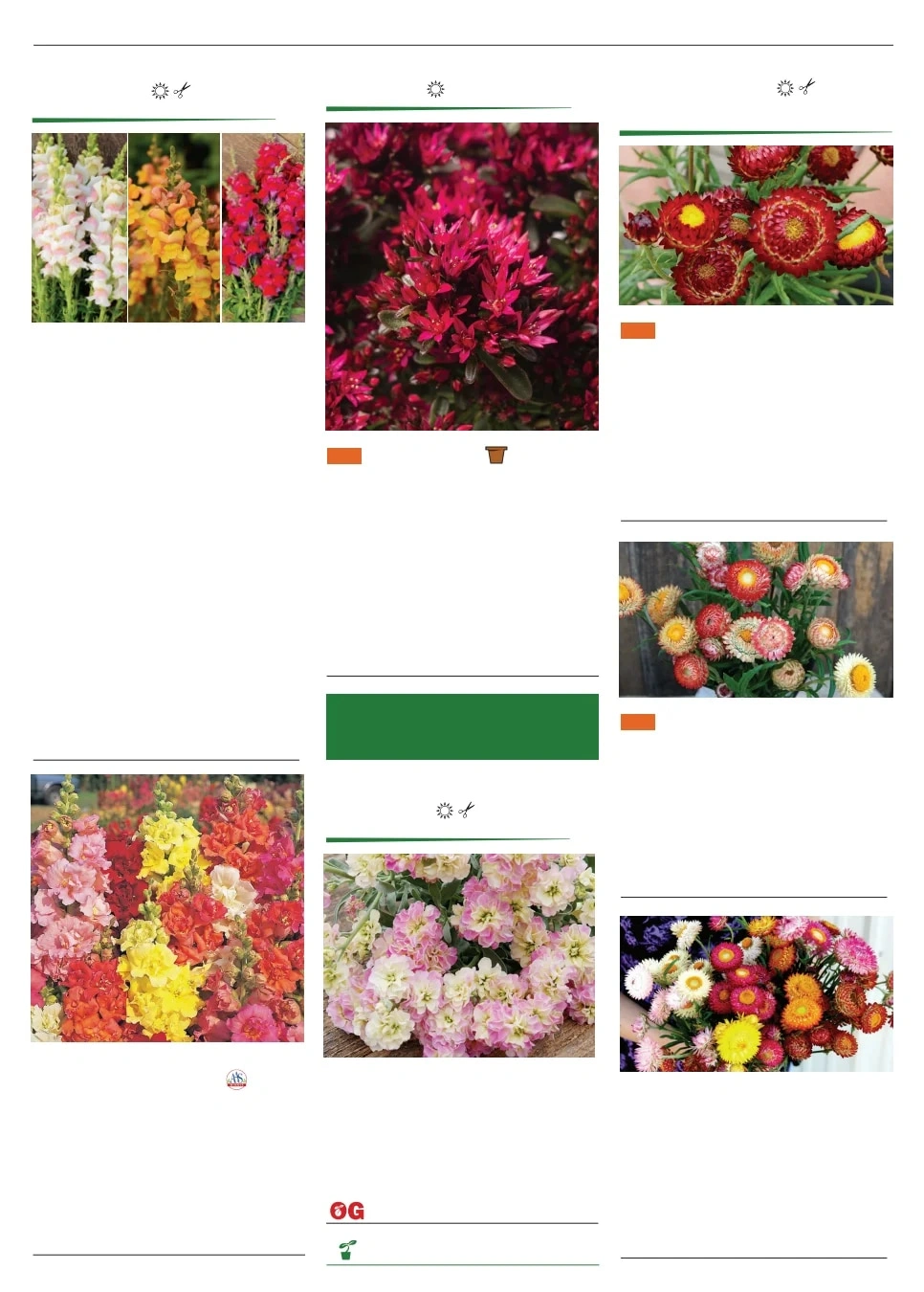 Territorial Seed flyer page 129