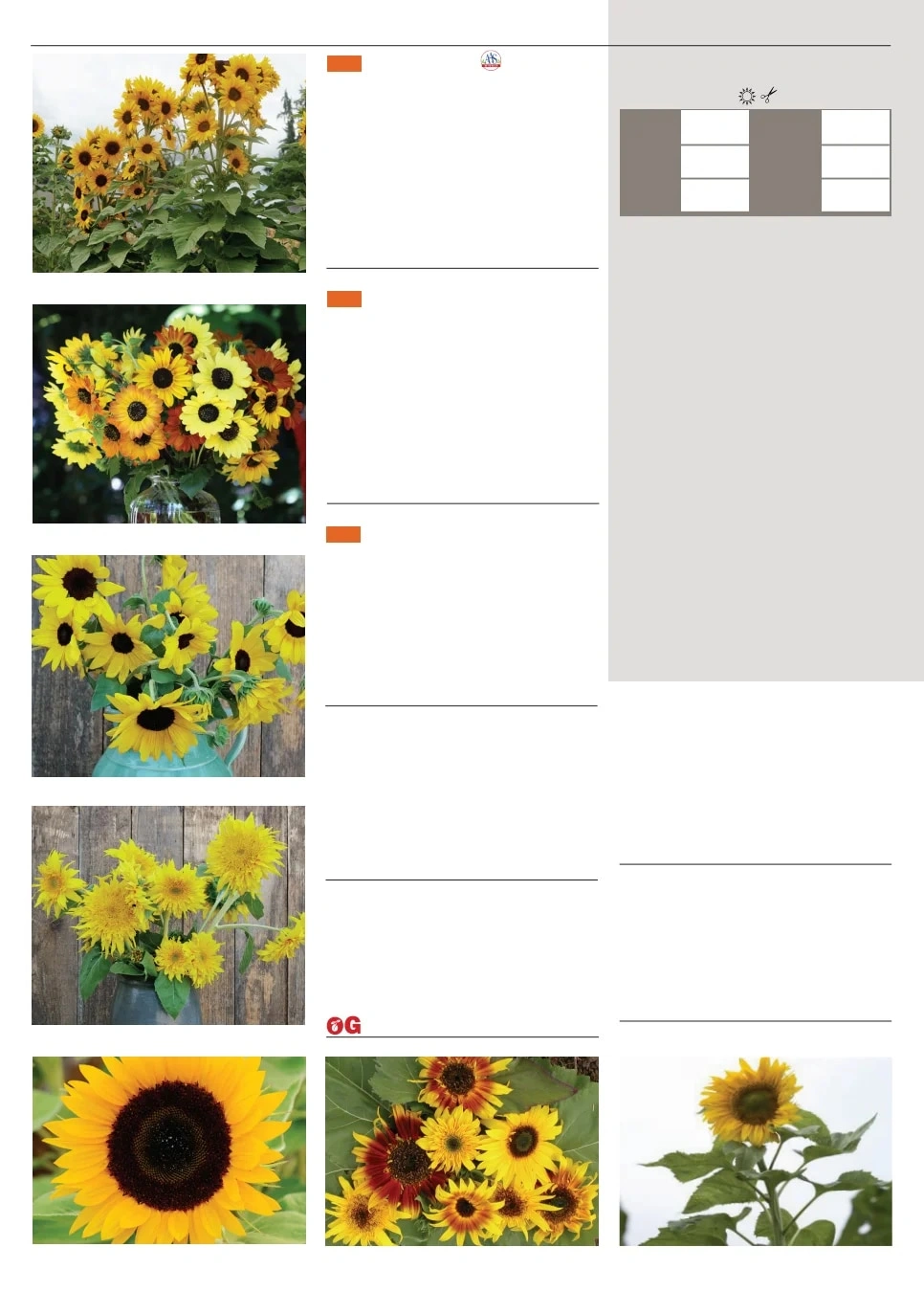 Territorial Seed flyer page 130