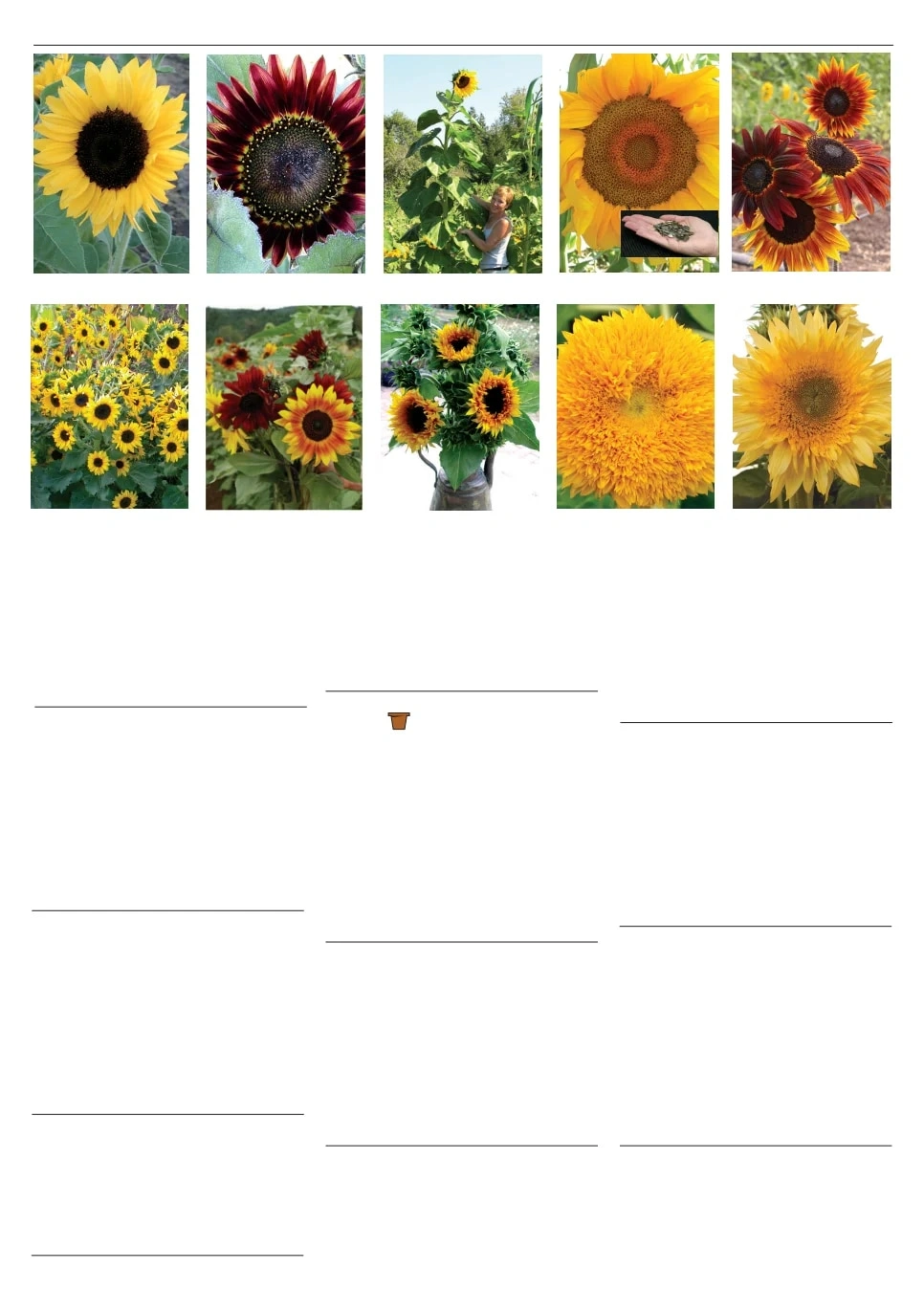 Territorial Seed flyer page 131