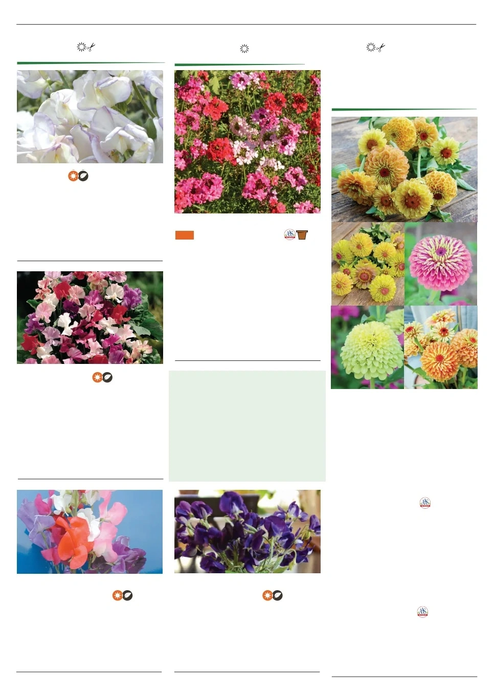 Territorial Seed flyer page 132