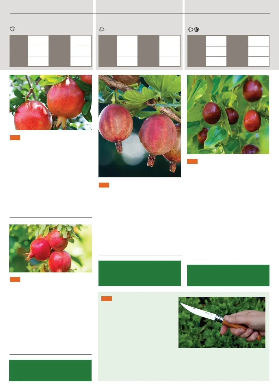 Territorial Seed flyer page 135
