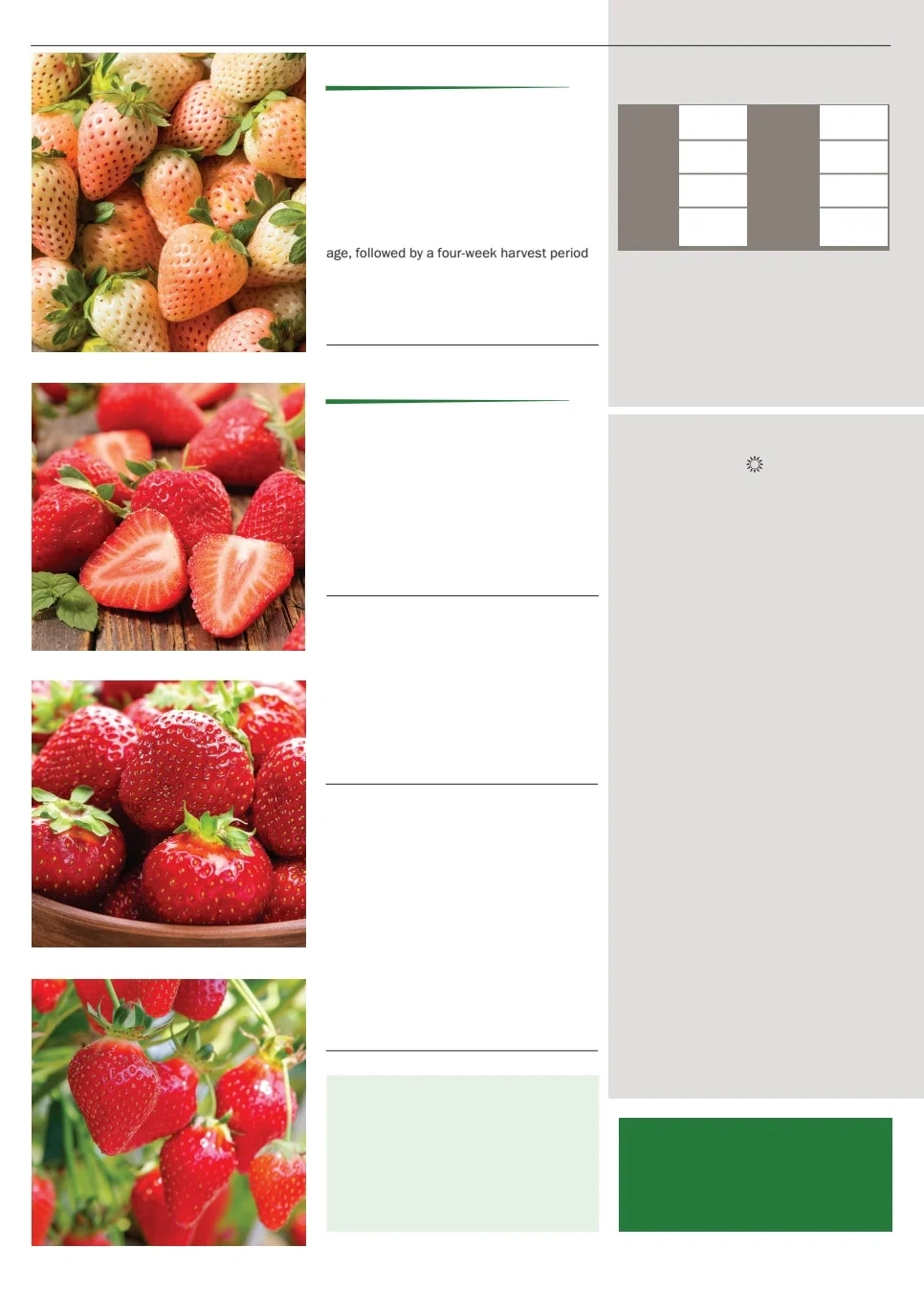 Territorial Seed flyer page 136