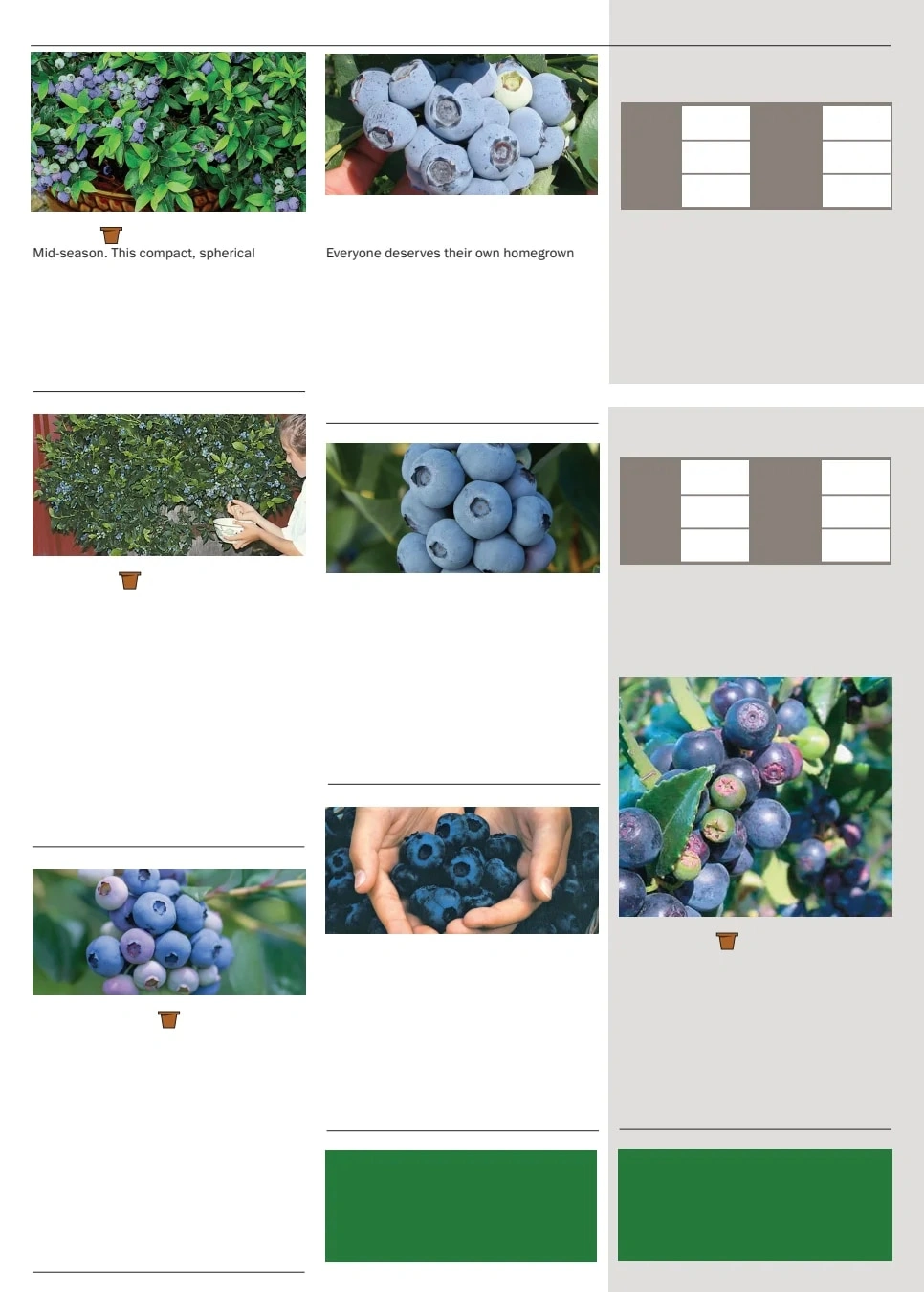 Territorial Seed flyer page 138