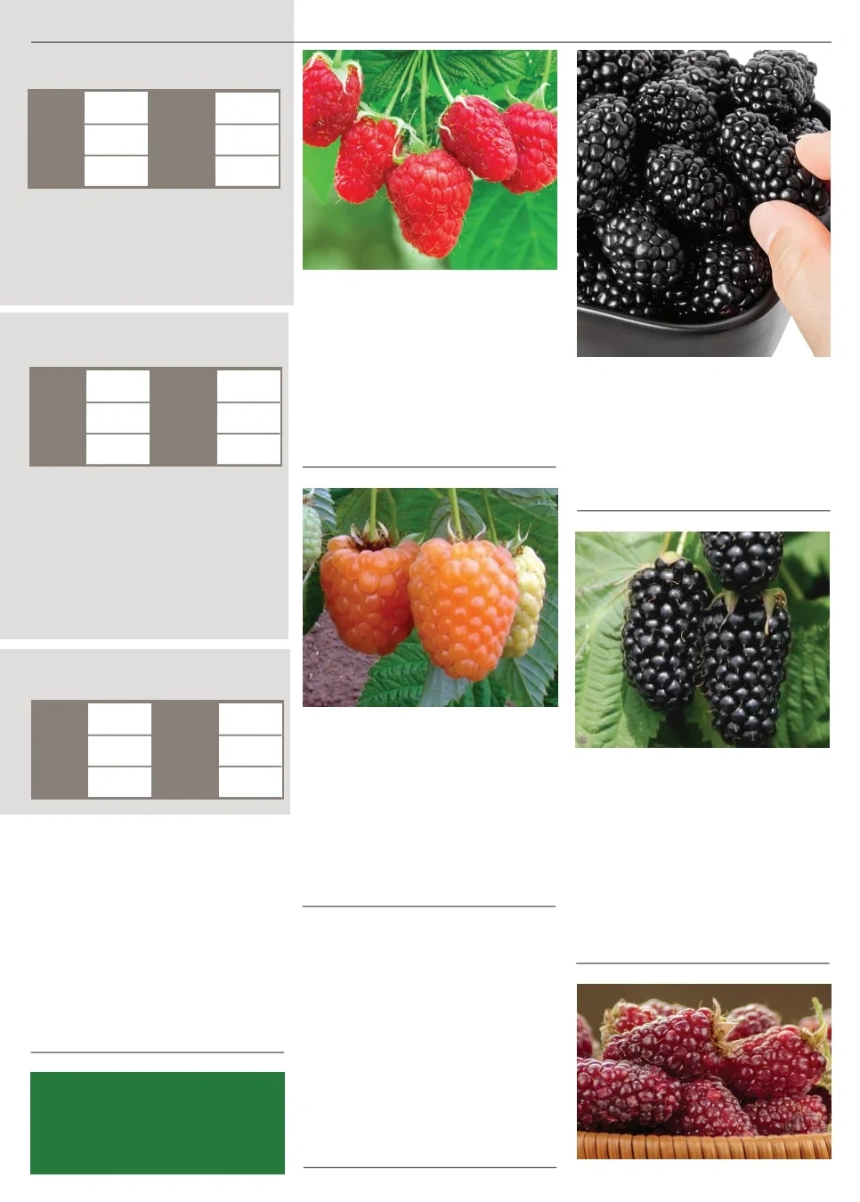 Territorial Seed flyer page 139