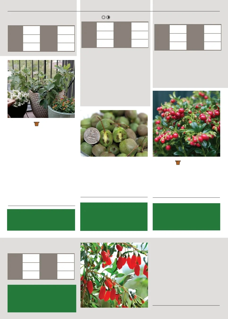 Territorial Seed flyer page 140