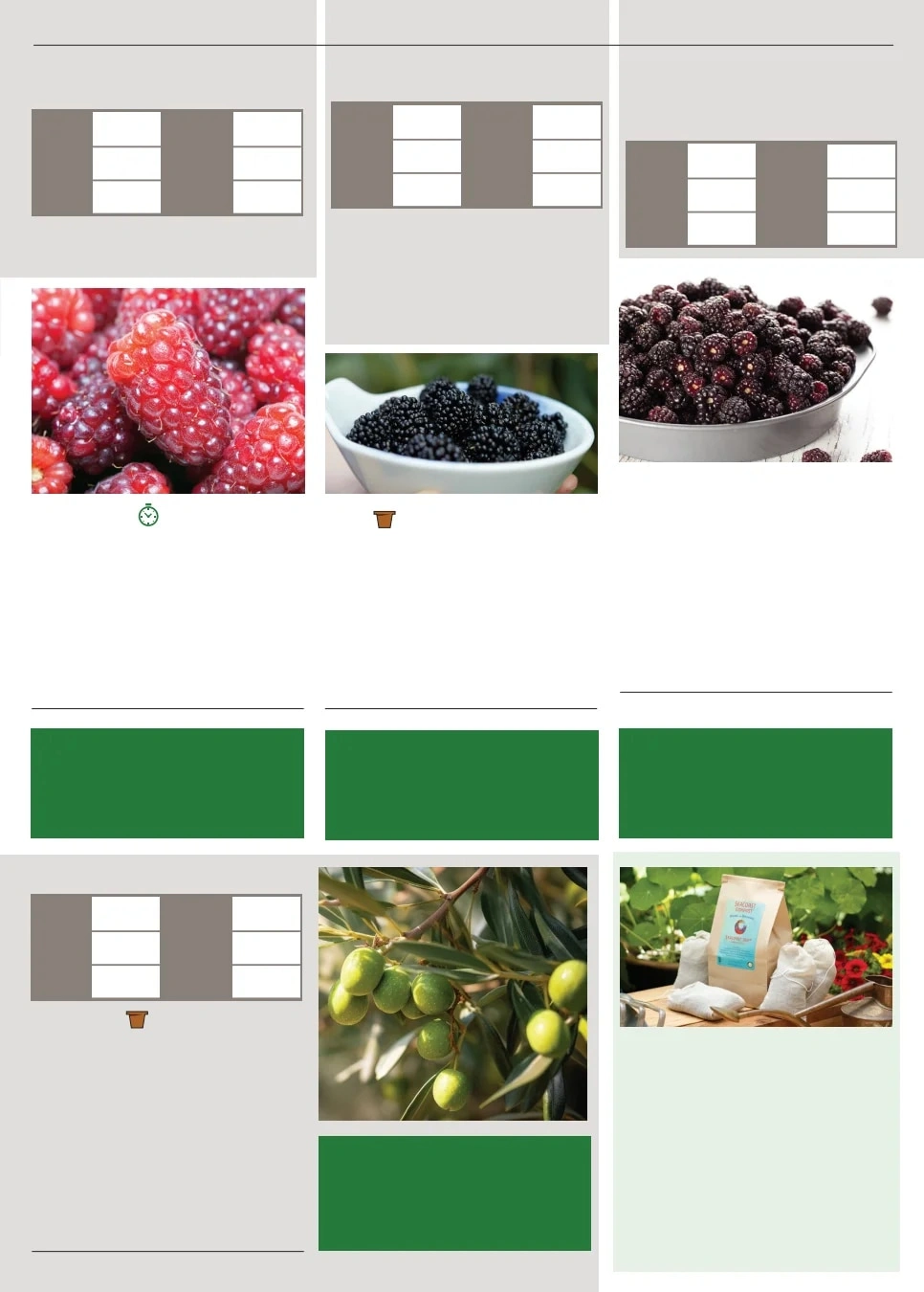 Territorial Seed flyer page 141