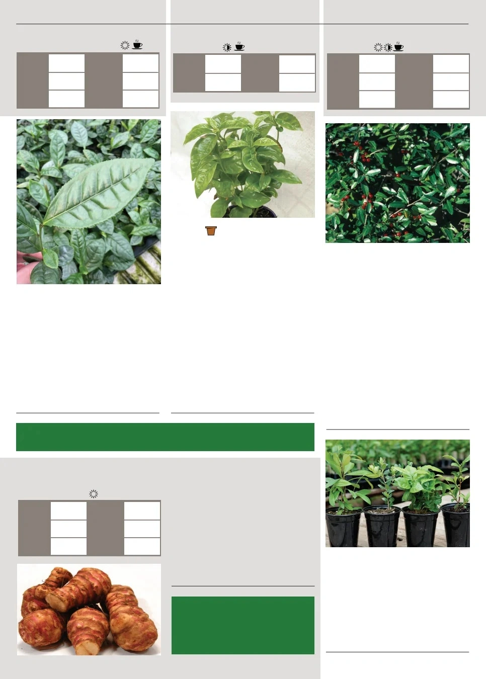 Territorial Seed flyer page 142