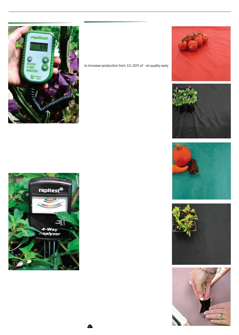 Territorial Seed flyer page 147