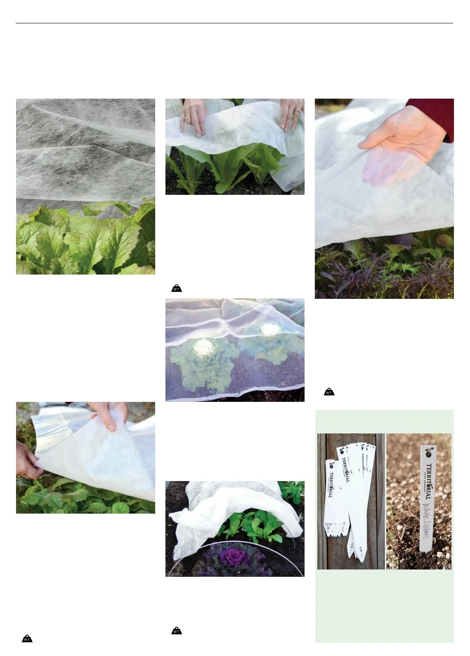 Territorial Seed flyer page 148