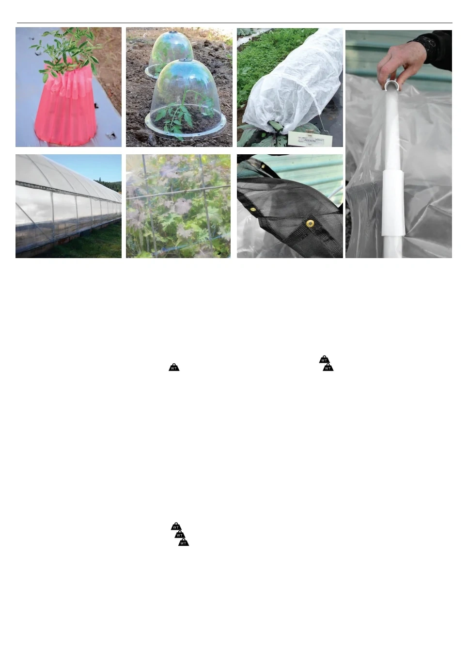 Territorial Seed flyer page 149