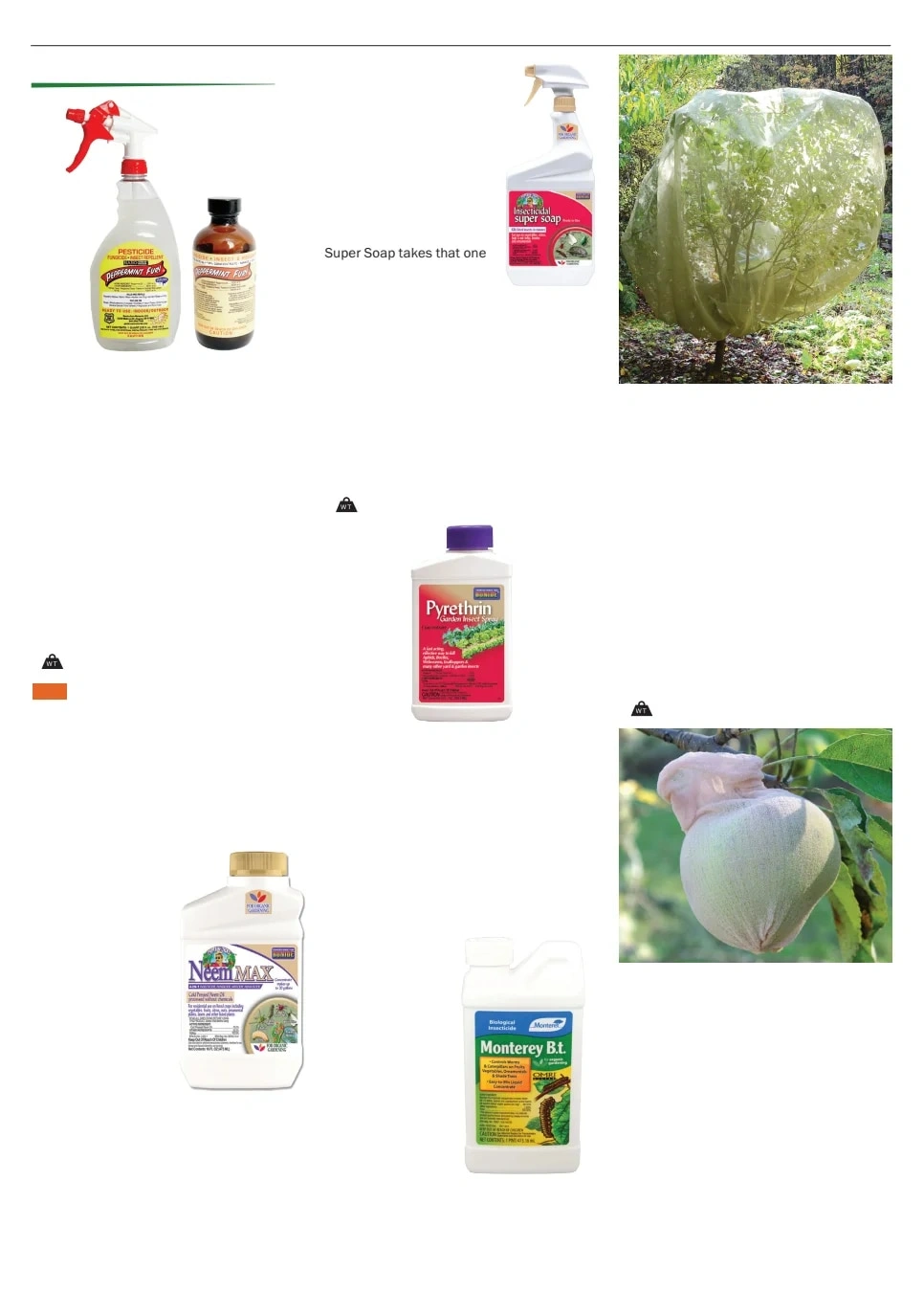 Territorial Seed flyer page 152