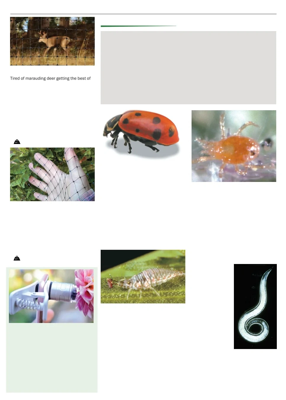 Territorial Seed flyer page 153
