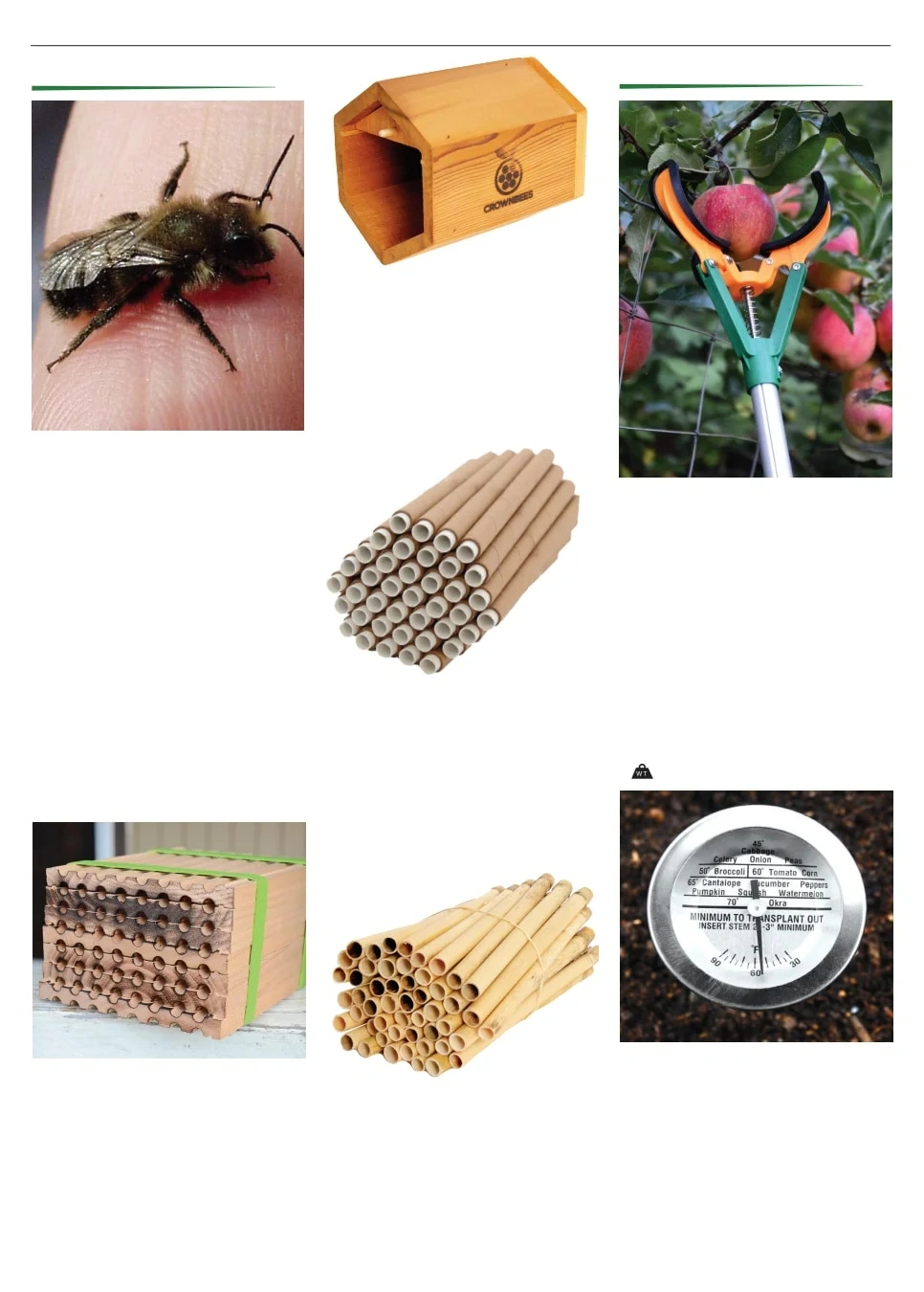 Territorial Seed flyer page 154