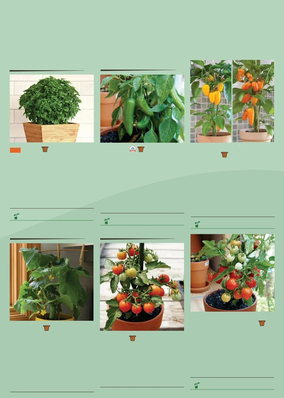 Territorial Seed flyer page 156
