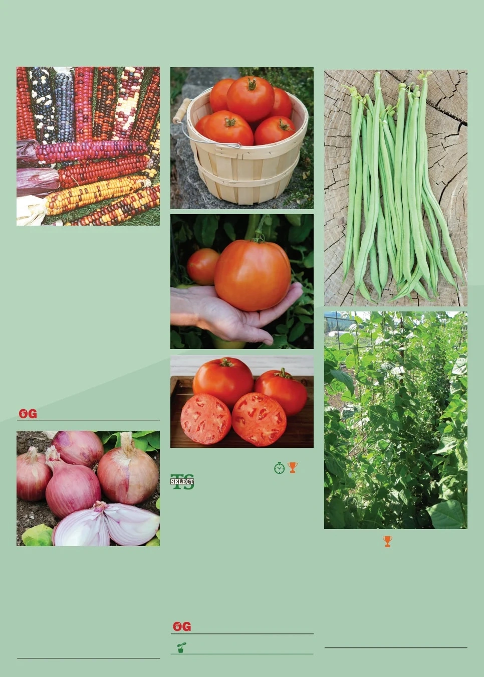 Territorial Seed flyer page 159