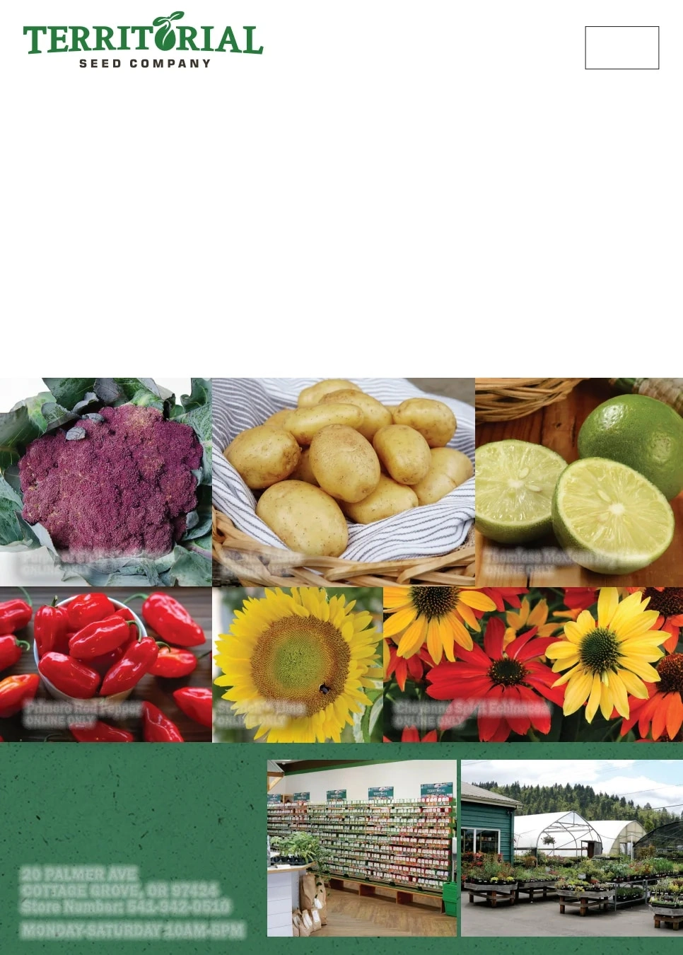 Territorial Seed flyer page 160