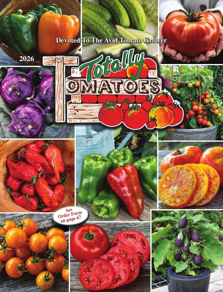 Totally Tomatoes flyer page 1