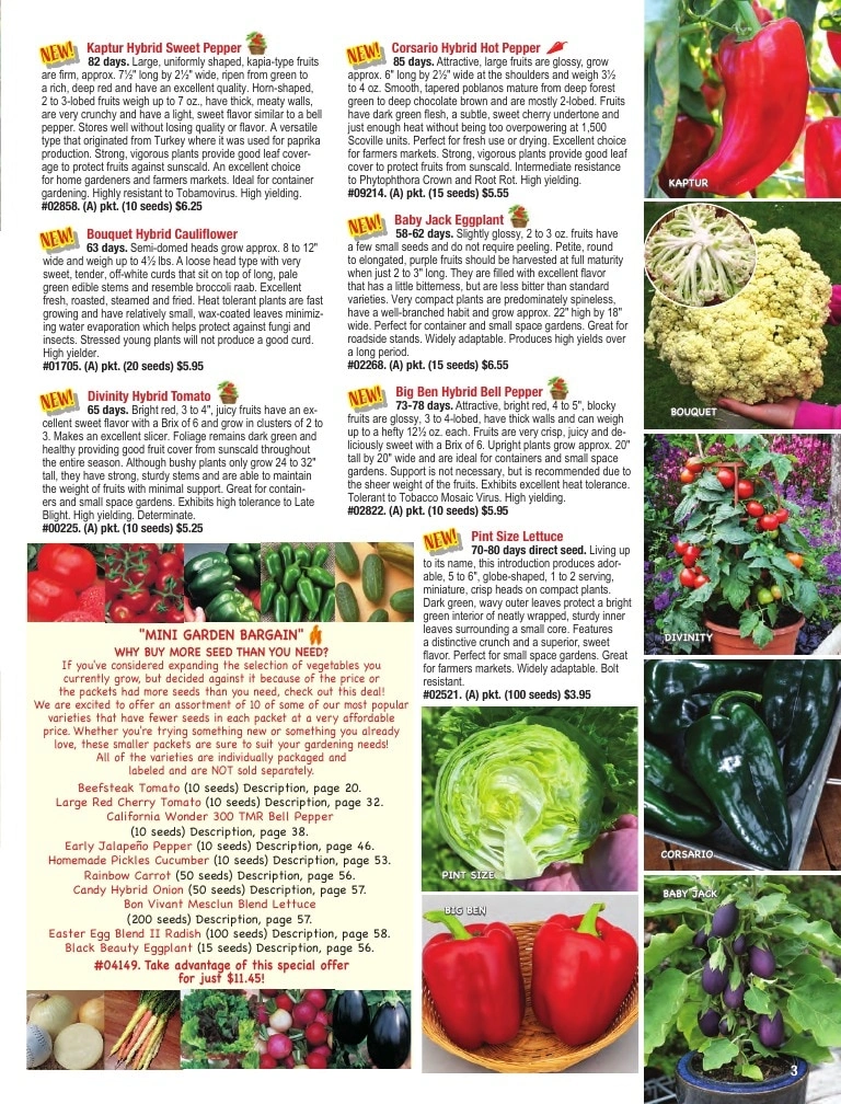Totally Tomatoes flyer page 3
