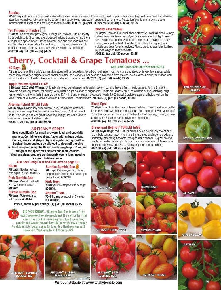 Totally Tomatoes flyer page 29