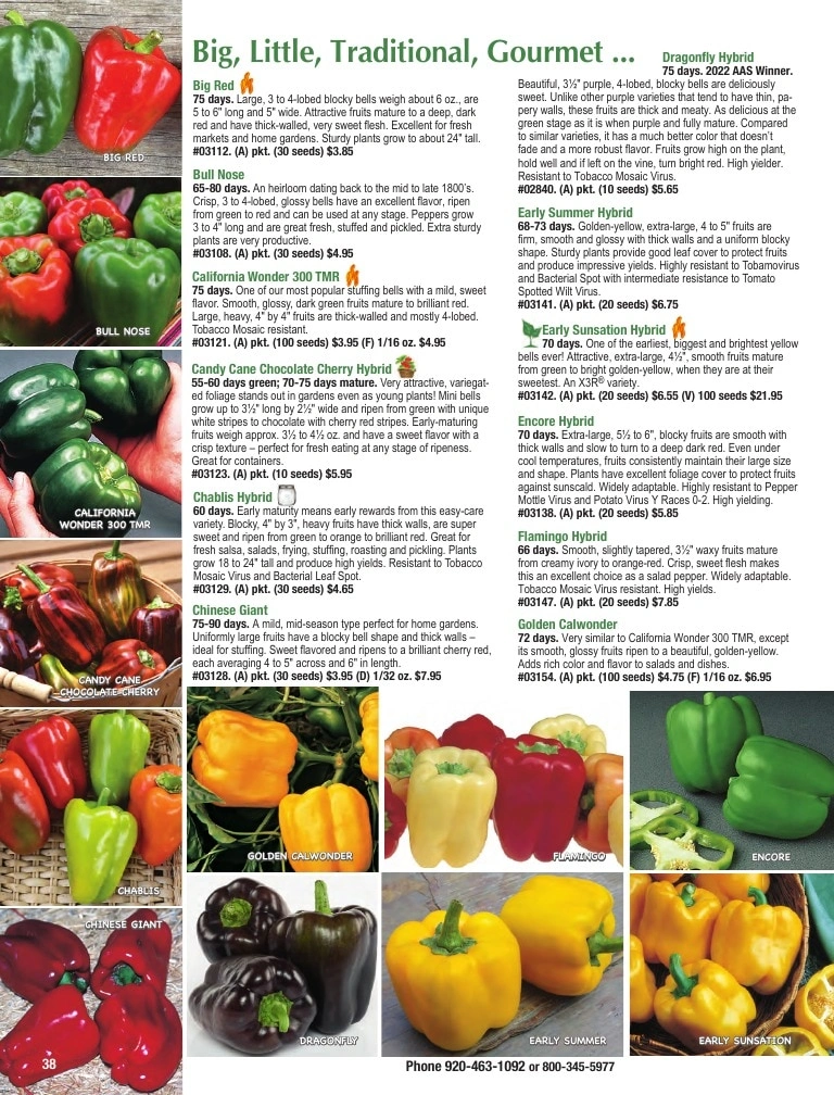 Totally Tomatoes flyer page 38