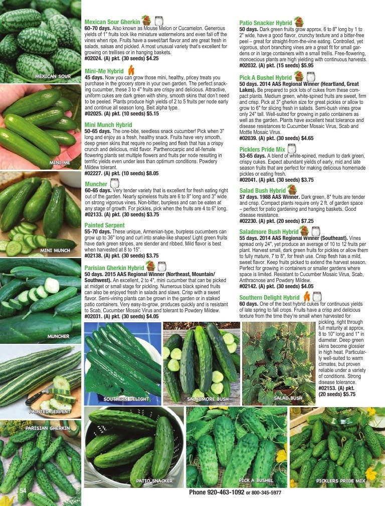 Totally Tomatoes flyer page 54