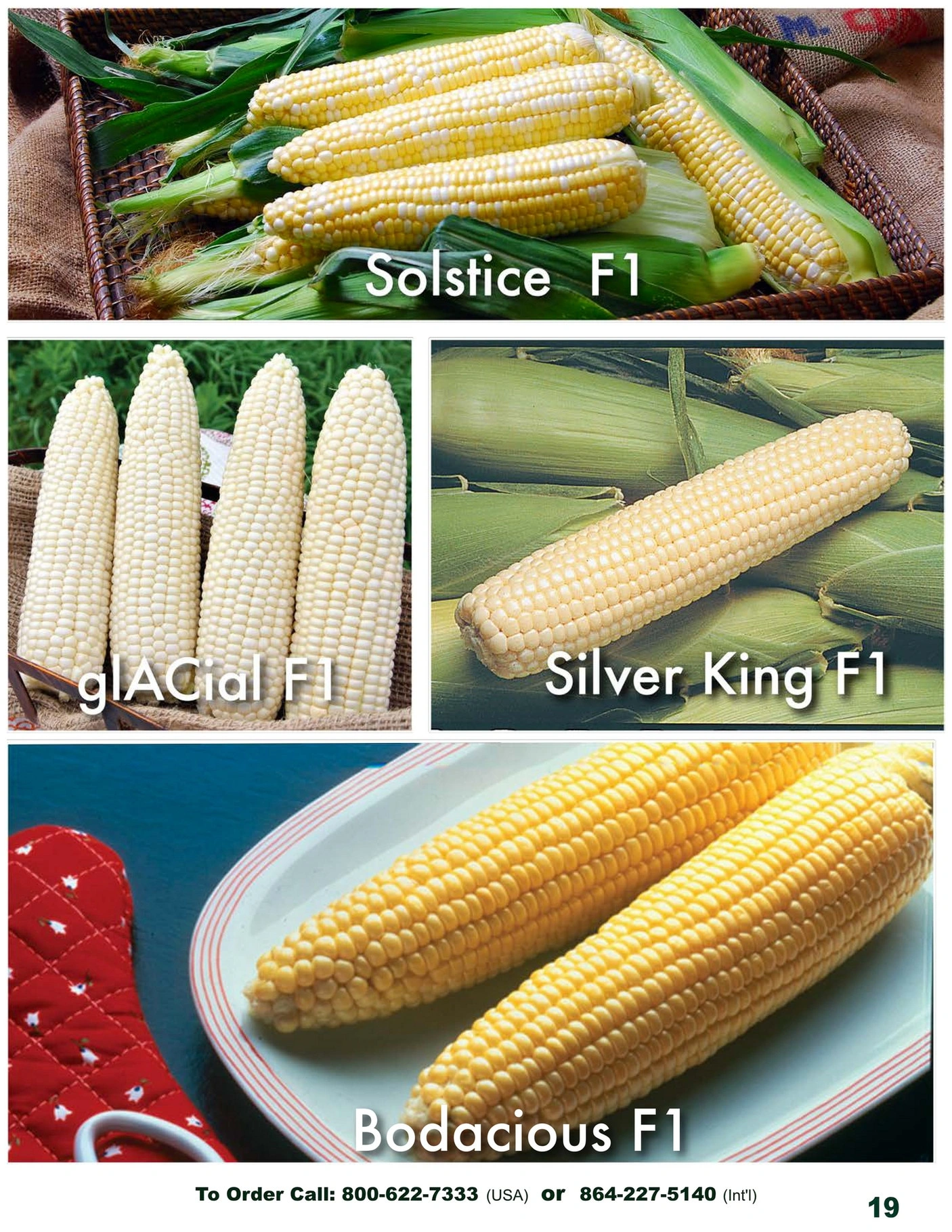 Twilley Seed flyer page 21