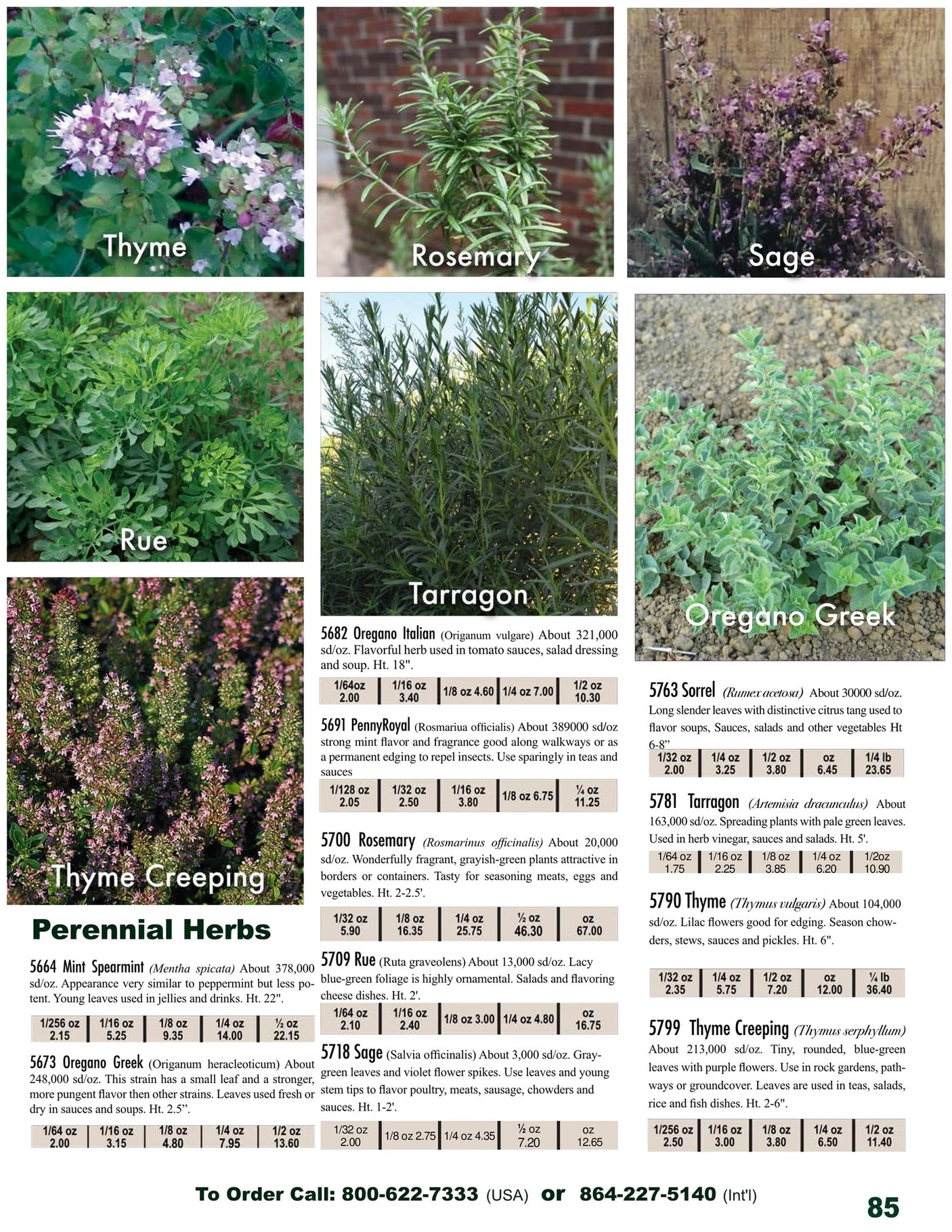 Twilley Seed flyer page 87