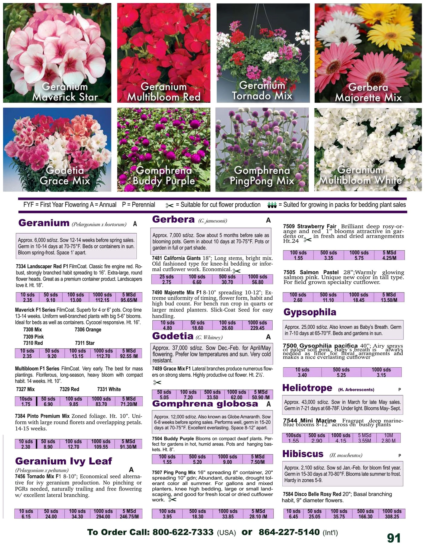Twilley Seed flyer page 93