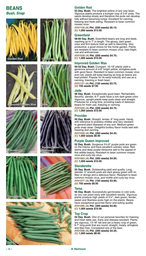 Vermont Bean flyer page 4