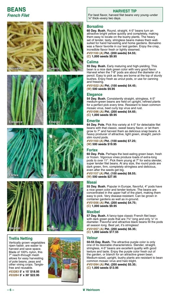 Vermont Bean flyer page 6