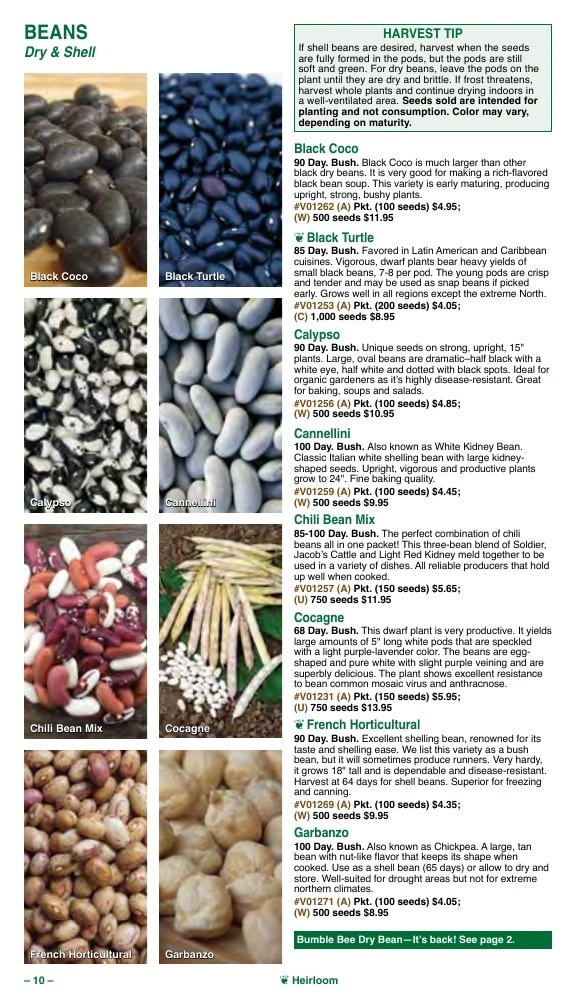 Vermont Bean flyer page 10
