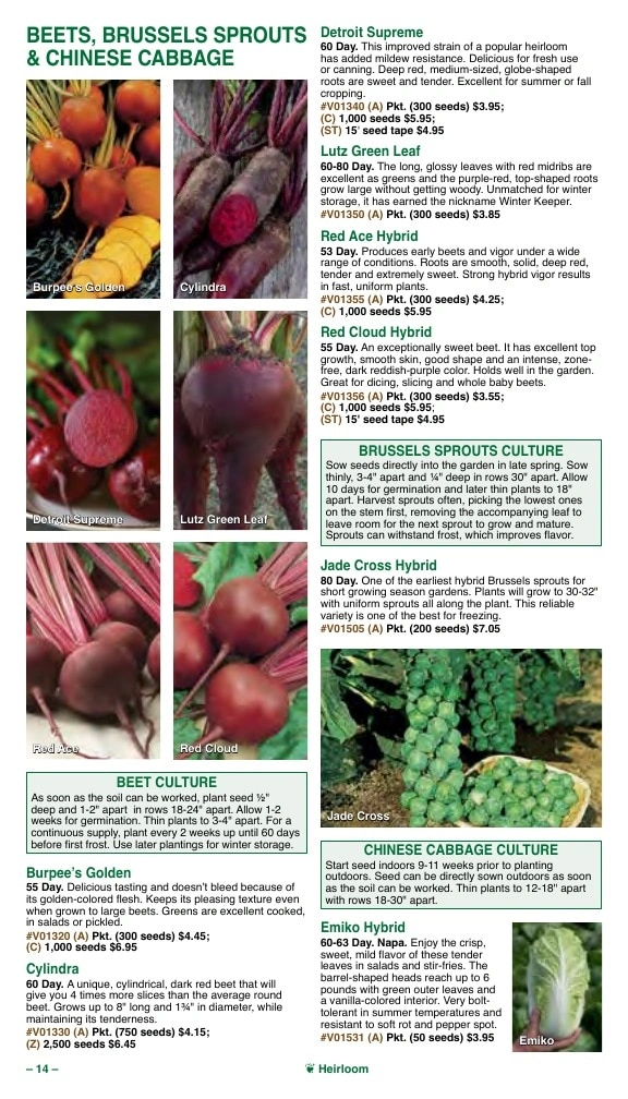 Vermont Bean flyer page 14