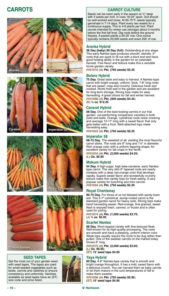 Vermont Bean flyer page 16