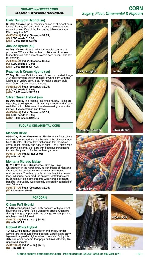 Vermont Bean flyer page 19