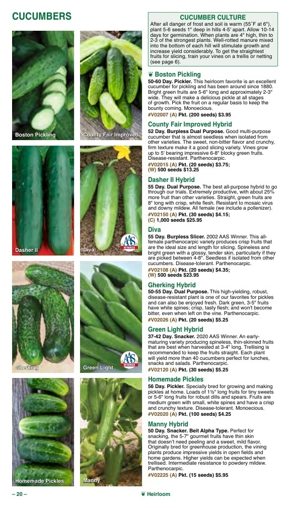 Vermont Bean flyer page 20